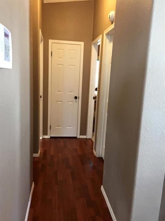 hallway with dark hardwood / wood-style flooring