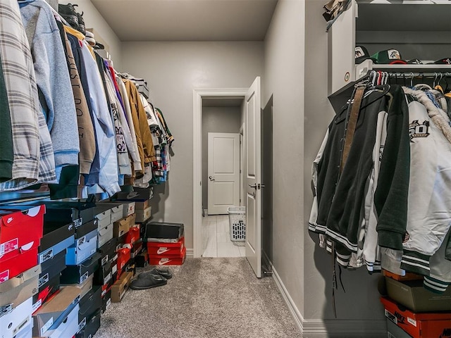 spacious closet featuring carpet flooring