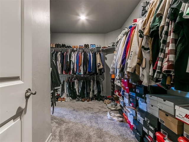 spacious closet featuring carpet flooring