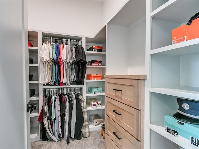 spacious closet featuring carpet floors