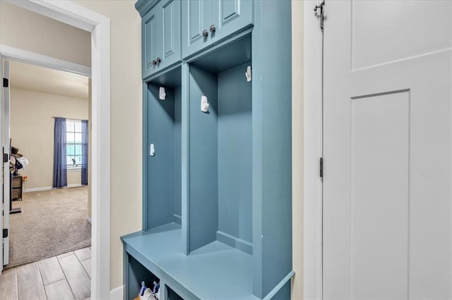 mudroom with light carpet