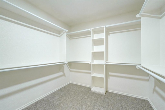 spacious closet featuring carpet floors