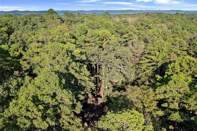 bird's eye view with a mountain view