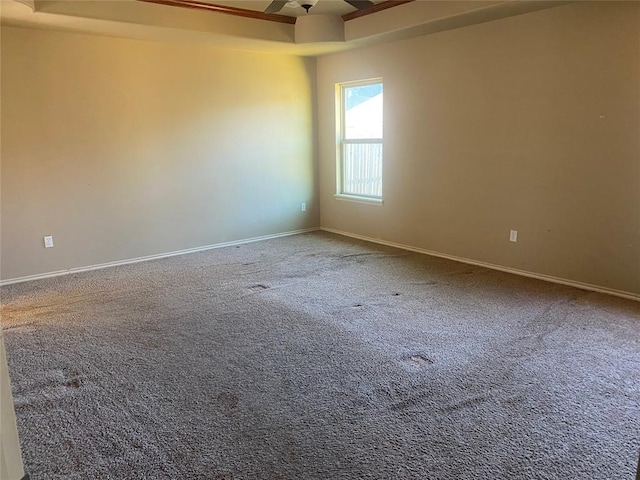 unfurnished room with a tray ceiling, ceiling fan, and carpet