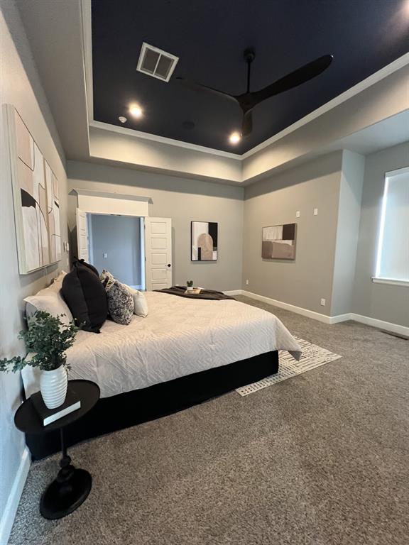 carpeted bedroom with a tray ceiling