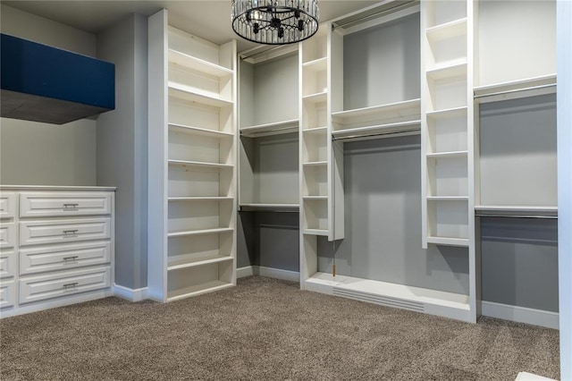 walk in closet featuring carpet flooring and an inviting chandelier