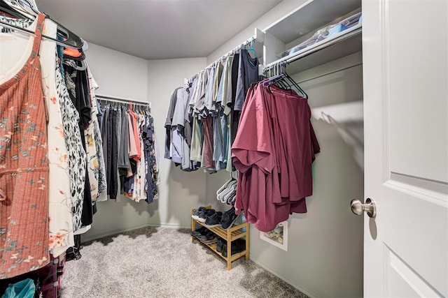 spacious closet with carpet flooring