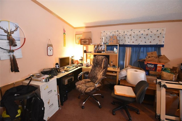 carpeted office with crown molding