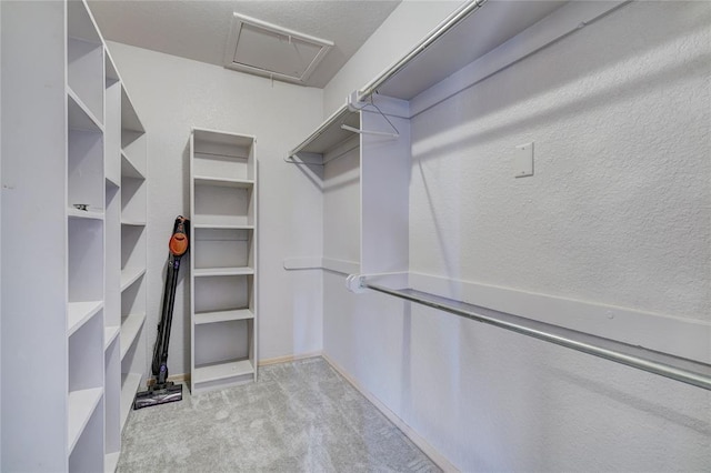 spacious closet featuring light colored carpet