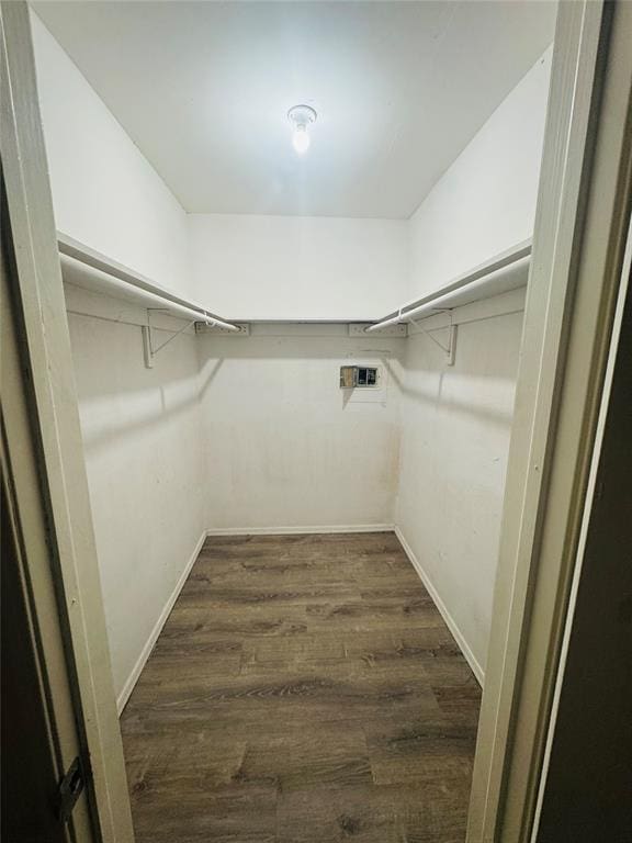 walk in closet featuring dark wood-style floors