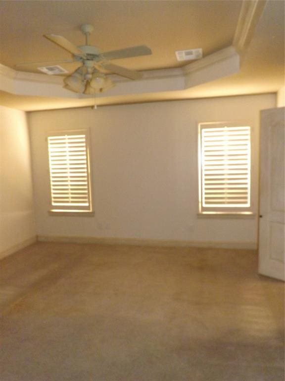 unfurnished room featuring a raised ceiling and ceiling fan