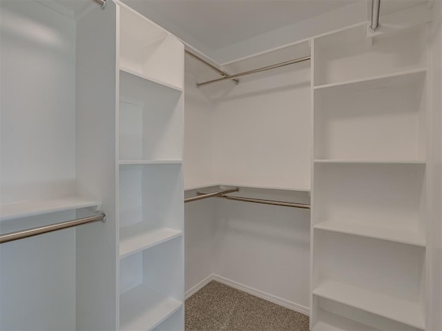 spacious closet featuring carpet