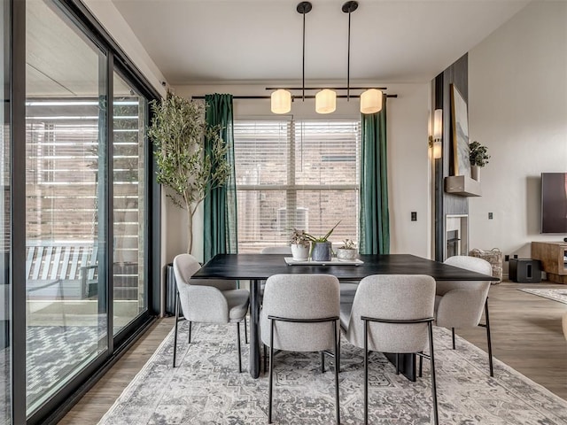 dining area with hardwood / wood-style floors