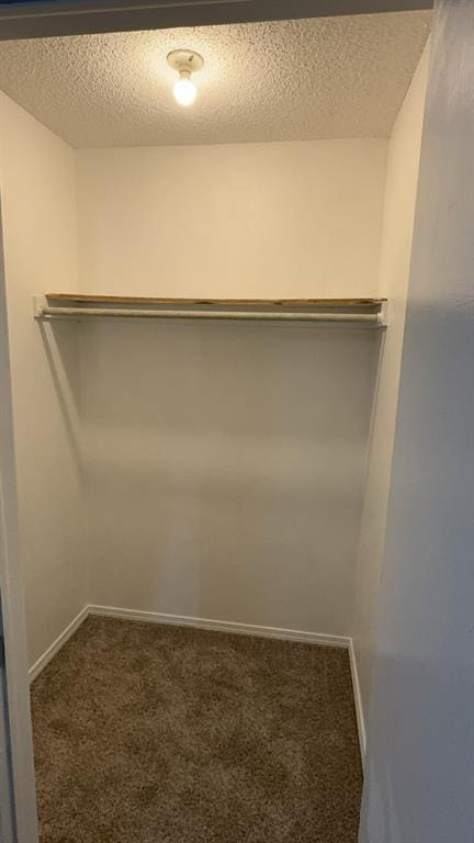 spacious closet with carpet flooring