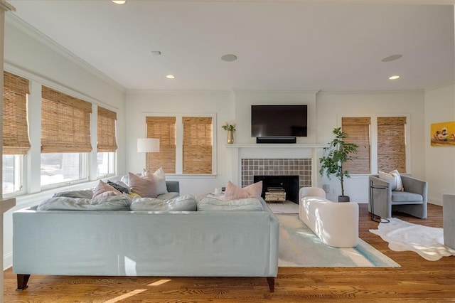 living room featuring ornamental molding, a fireplace, and hardwood / wood-style floors