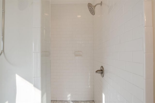 room details with tiled shower