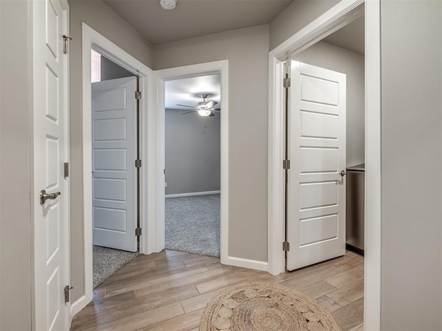 hall featuring light hardwood / wood-style floors