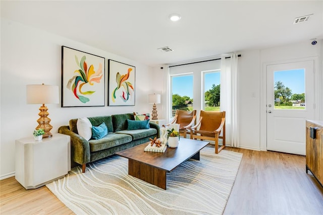 living room featuring a wealth of natural light and light wood-type flooring