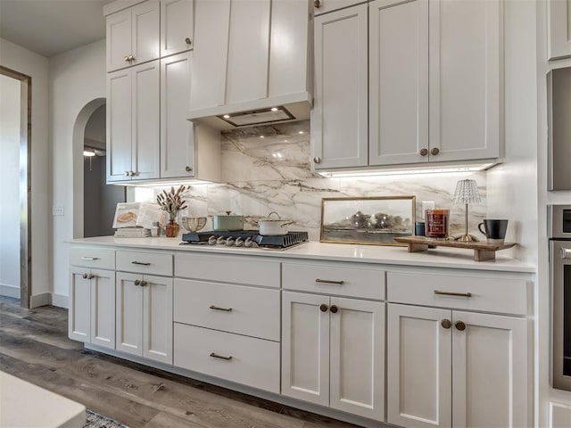 kitchen with light hardwood / wood-style flooring, appliances with stainless steel finishes, white cabinetry, decorative backsplash, and custom exhaust hood