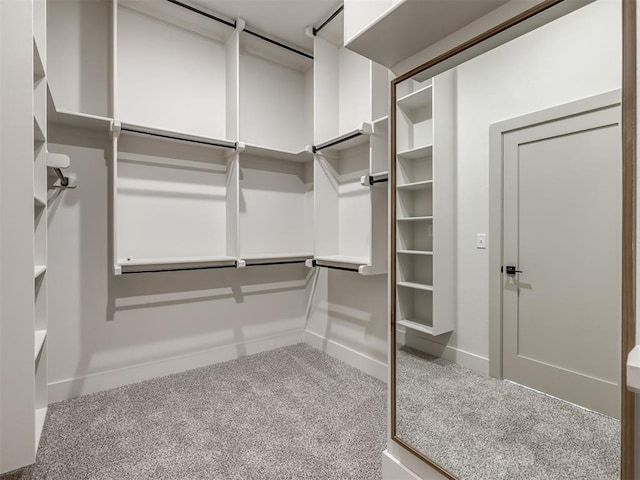 walk in closet featuring carpet