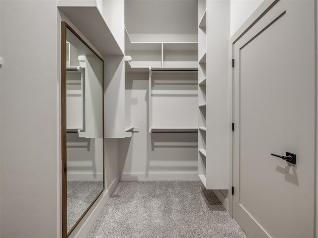 walk in closet with light colored carpet