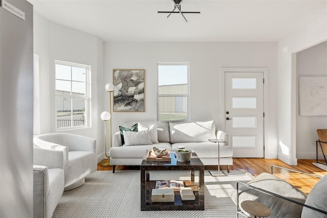 living room featuring wood-type flooring and a healthy amount of sunlight