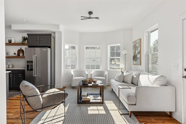 living room featuring dark wood-type flooring