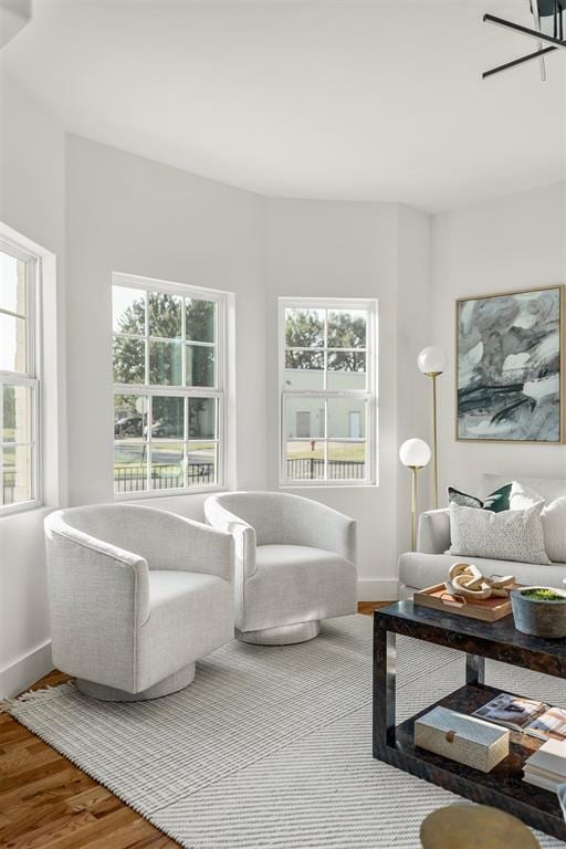 living room featuring wood-type flooring