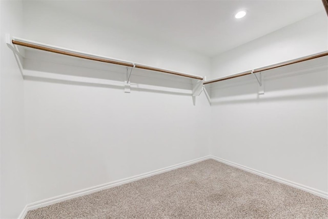 spacious closet featuring carpet floors