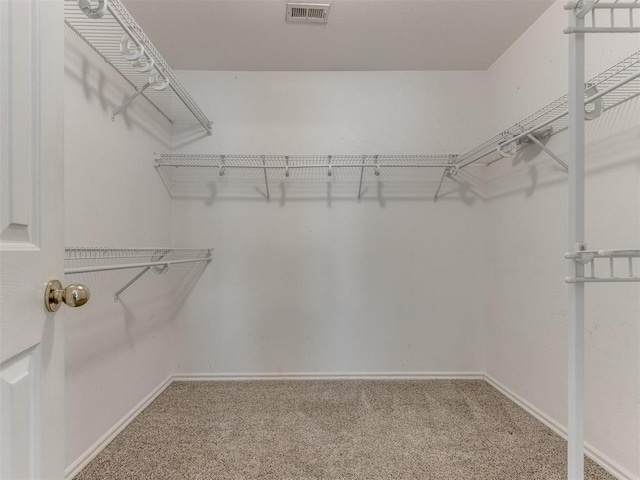 walk in closet featuring carpet floors