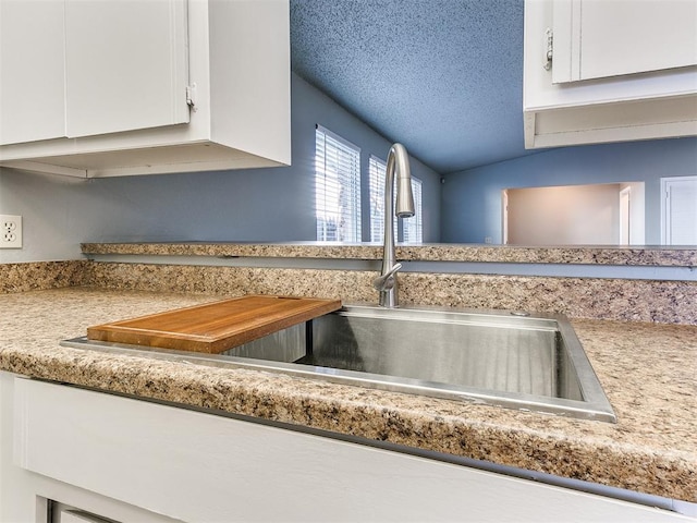 interior details featuring white cabinetry and sink