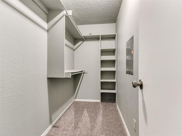 spacious closet with carpet floors and electric panel