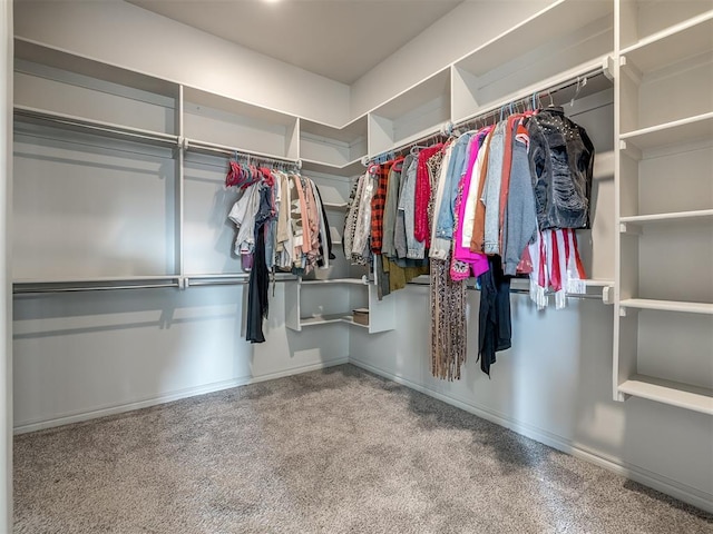 spacious closet with carpet floors