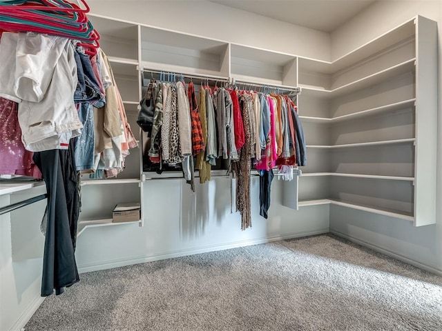 spacious closet featuring carpet