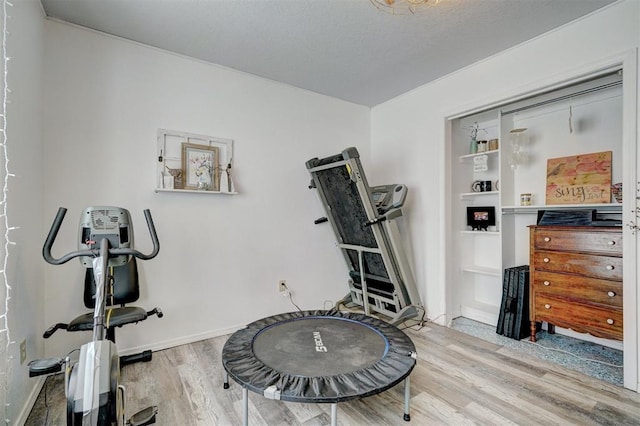 workout area featuring hardwood / wood-style floors