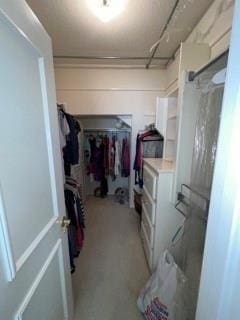 view of walk in closet