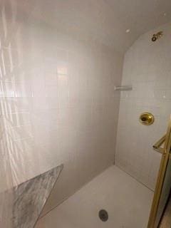 bathroom featuring walk in shower