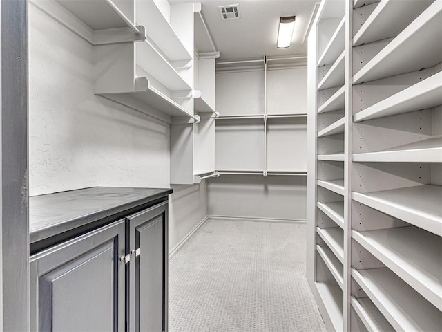 spacious closet featuring light carpet