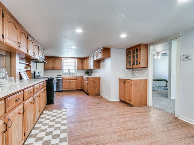 kitchen with sink, light wood-type flooring, dishwasher, and range