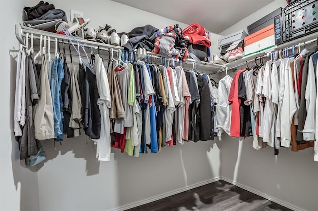 walk in closet with hardwood / wood-style flooring