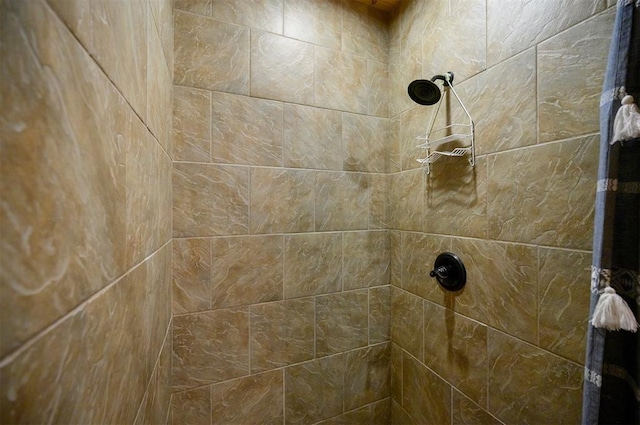 interior details with tiled shower