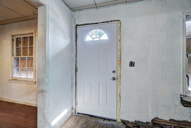 entrance foyer with a healthy amount of sunlight and dark hardwood / wood-style floors