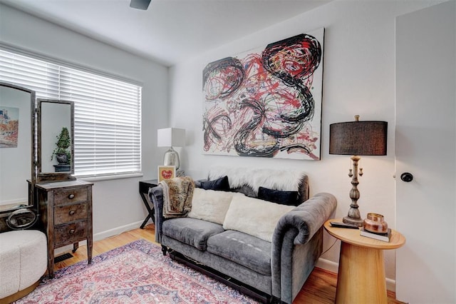 living room featuring light wood-type flooring