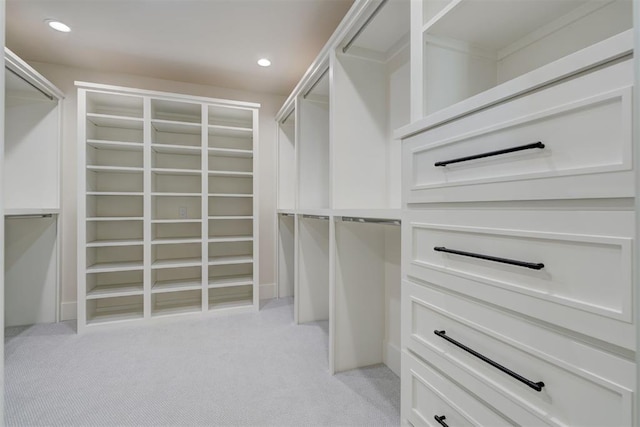 spacious closet with light carpet