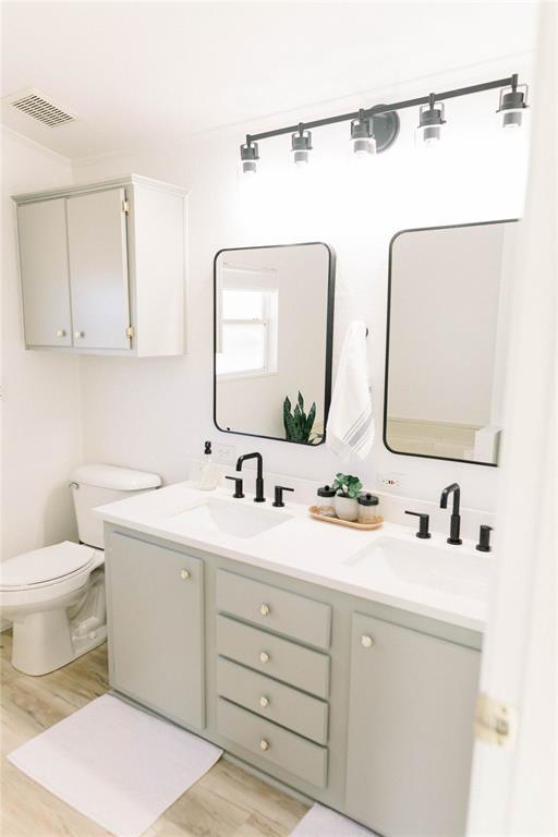 bathroom featuring vanity, toilet, and hardwood / wood-style floors