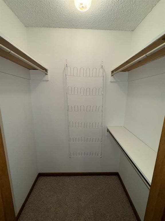 spacious closet with dark carpet