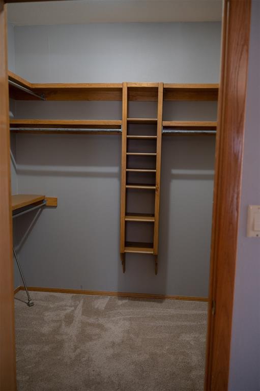 walk in closet with carpet floors