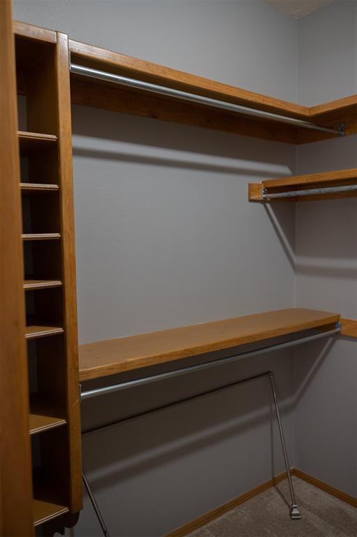 spacious closet featuring carpet flooring