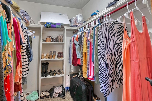 walk in closet featuring carpet flooring