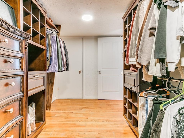 spacious closet with light hardwood / wood-style flooring